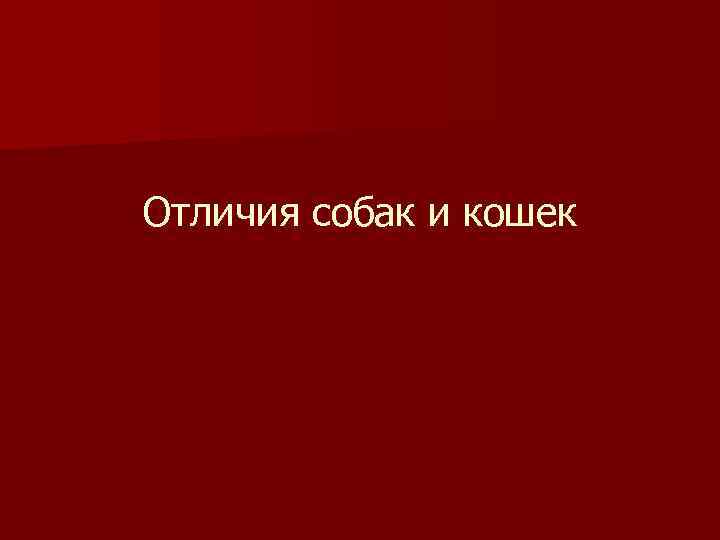 Отличия собак и кошек 