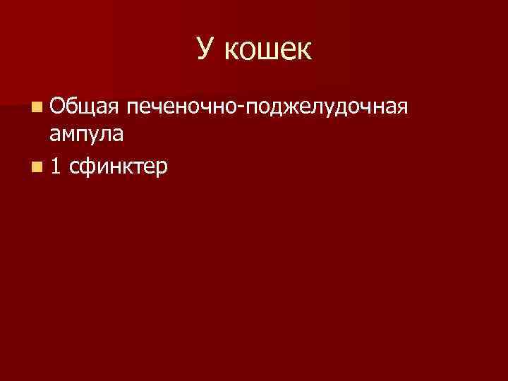 У кошек n Общая печеночно-поджелудочная ампула n 1 сфинктер 