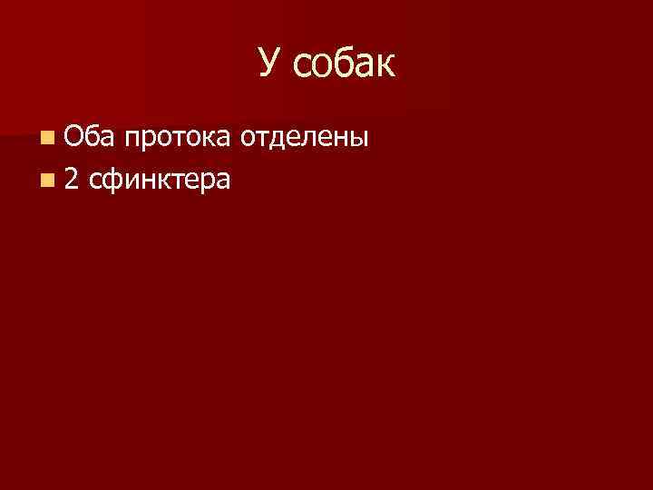 У собак n Оба протока отделены n 2 сфинктера 