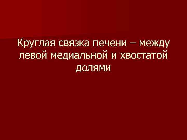 Круглая связка печени – между левой медиальной и хвостатой долями 
