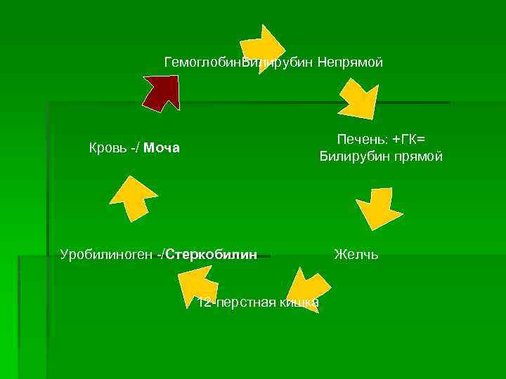 Гемоглобин. Билирубин Непрямой Печень: +ГК= Билирубин прямой Кровь -/ Моча Уробилиноген -/Стеркобилин 12 -перстная