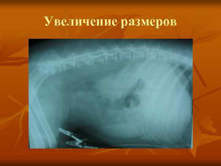 Увеличение размеров 