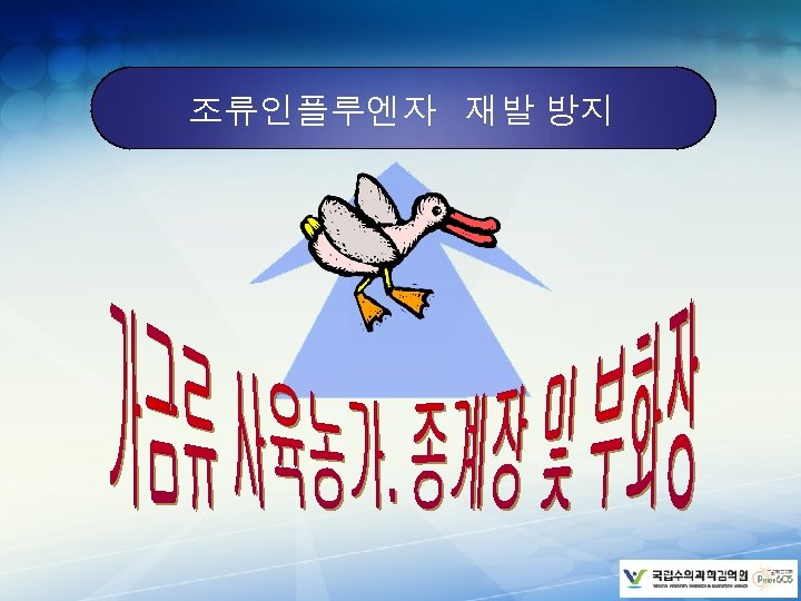 조류인플루엔자 재발 방지 