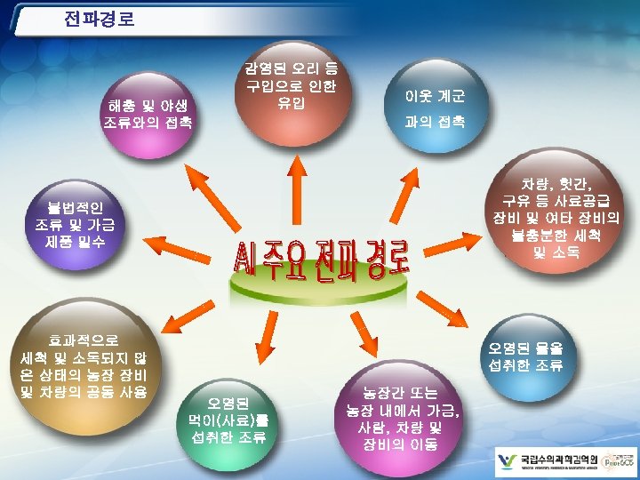 전파경로 해충 및 야생 조류와의 접촉 감염된 오리 등 구입으로 인한 유입 이웃 계군