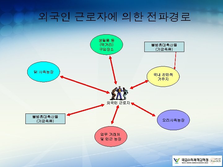 외국인 근로자에 의한 전파경로 생필품 등 (먹거리) 구입장소 닭 사육농장 불법휴대축산물 (가금육류) 국내 친인척