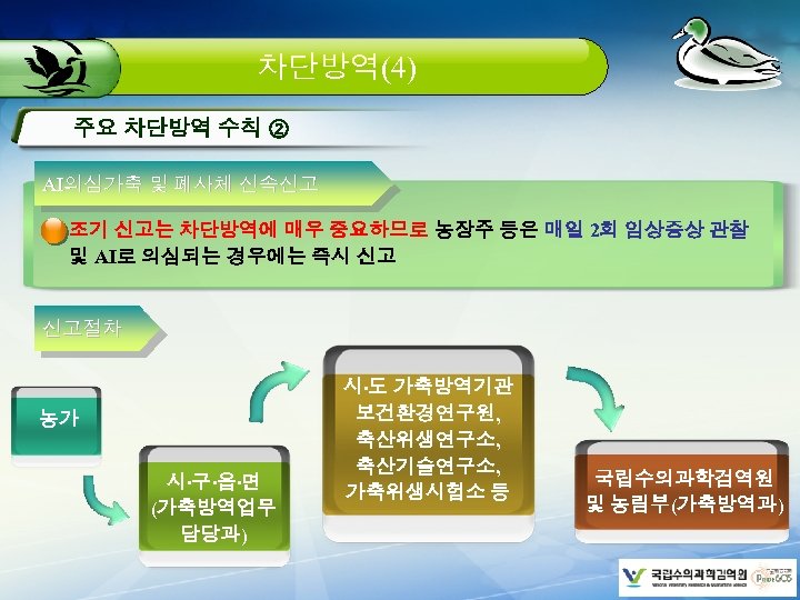 차단방역(4) 주요 차단방역 수칙 ② AI의심가축 및 폐사체 신속신고 조기 신고는 차단방역에 매우 중요하므로