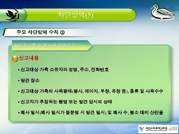 차단방역(5) 주요 차단방역 수칙 ③ AI의심가축 및 폐사체 신속신고 신고내용 • 신고대상 가축 소유자의