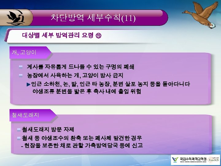 차단방역 세부수칙(11) 대상별 세부 방역관리 요령 ⑪ 개, 고양이 계사를 자유롭게 드나들 수 있는