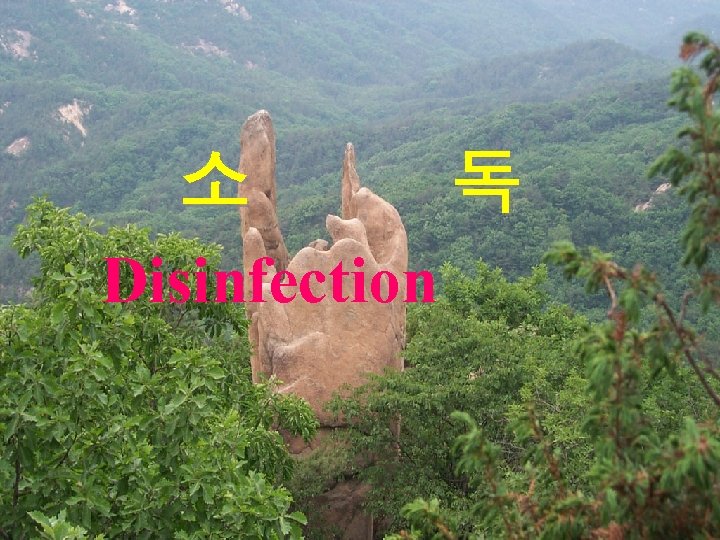 소 독 Disinfection 