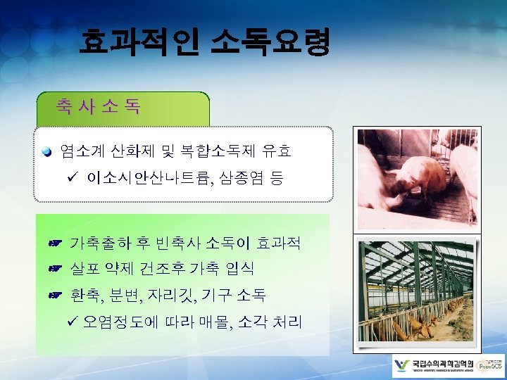 효과적인 소독요령 축사소독 염소계 산화제 및 복합소독제 유효 ü 이소시안산나트륨, 삼종염 등 ☞ 가축출하