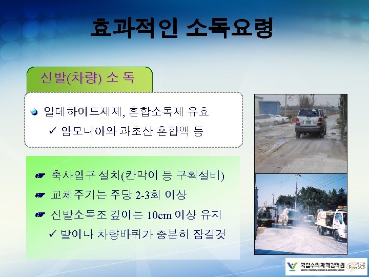 효과적인 소독요령 신발(차량) 소 독 알데하이드제제, 혼합소독제 유효 ü 암모니아와 과초산 혼합액 등 ☞