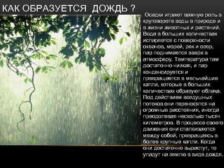 Как образуется роса дождь и снег. Как образуется дождь. Как появляется дождь?. Как формируется дождь. Как появляется дождь в природе.