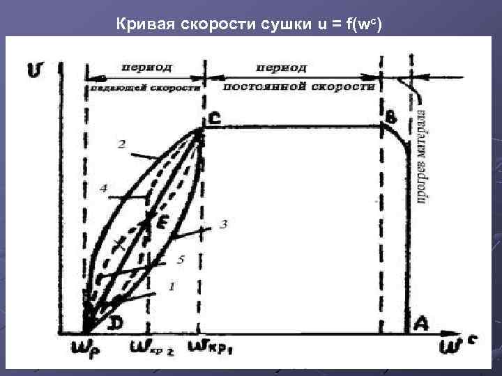 Кривая скорости. Кривая скорости сушки. Типовые кинетические кривые сушки. Кривые сушки и скорости сушки. Период постоянной скорости сушки.