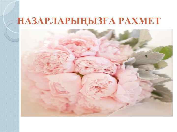 НАЗАРЛАРЫҢЫЗҒА РАХМЕТ 