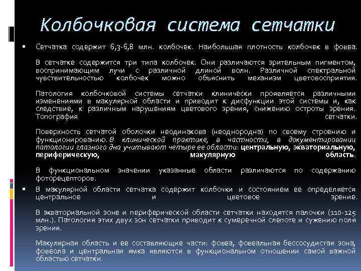 Колбочковая система сетчатки Сетчатка содержит 6, 3 -6, 8 млн. колбочек. Наибольшая плотность колбочек