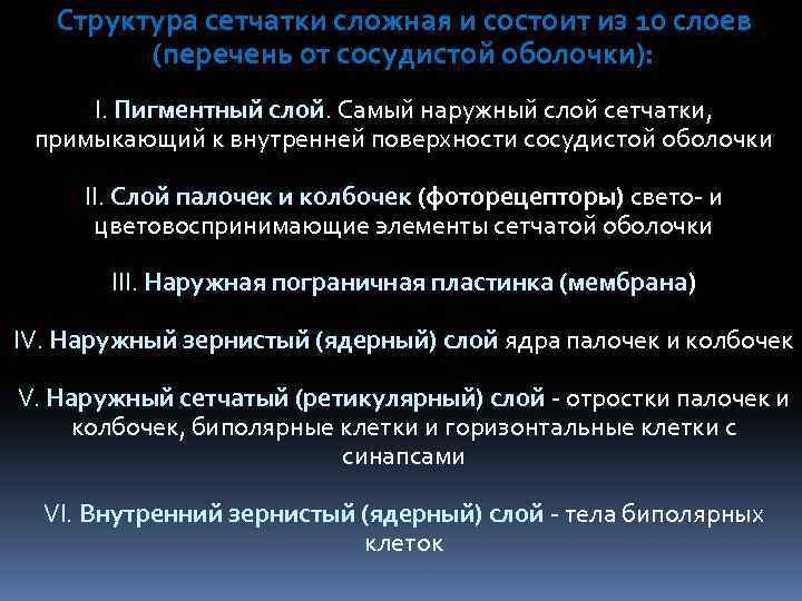 Структура сетчатки сложная и состоит из 10 слоев (перечень от сосудистой оболочки): I. Пигментный