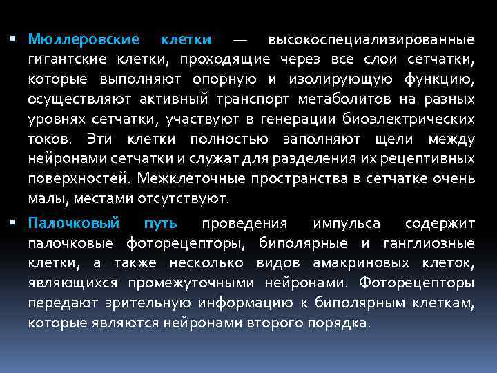  Мюллеровские клетки — высокоспециализированные гигантские клетки, проходящие через все слои сетчатки, которые выполняют