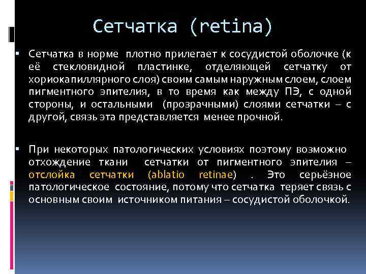 Сетчатка (retina) Сетчатка в норме плотно прилегает к сосудистой оболочке (к её стекловидной пластинке,