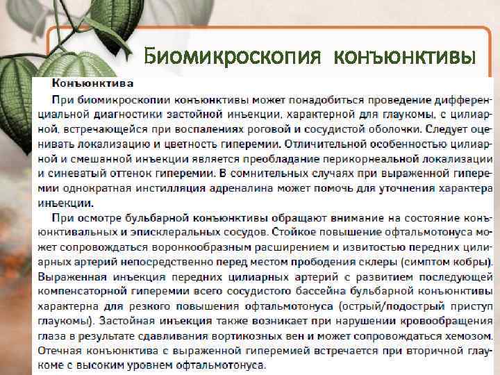 Биомикроскопия конъюнктивы 