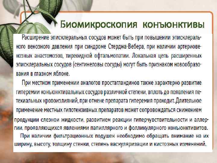 Биомикроскопия конъюнктивы 