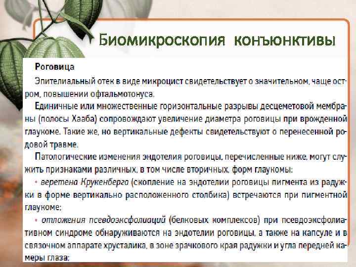 Биомикроскопия конъюнктивы 