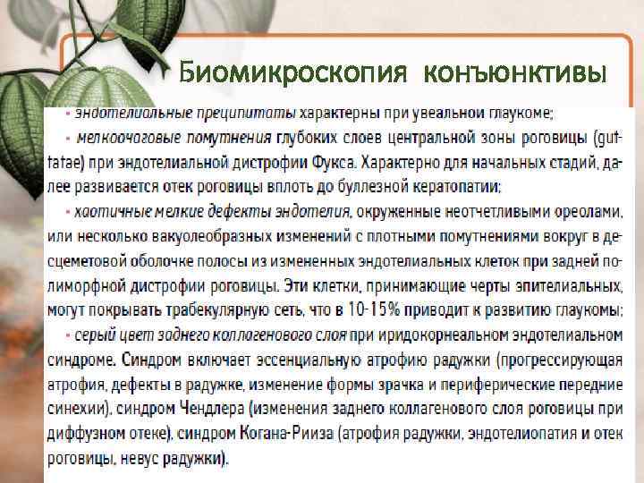 Биомикроскопия конъюнктивы 