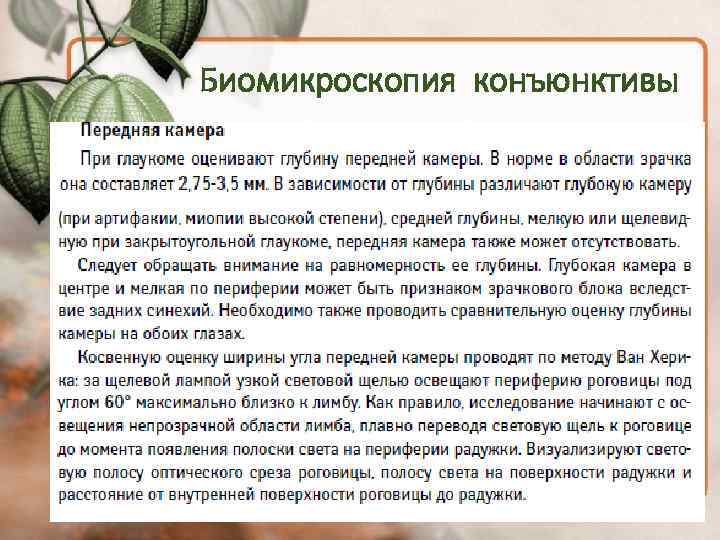 Биомикроскопия конъюнктивы 