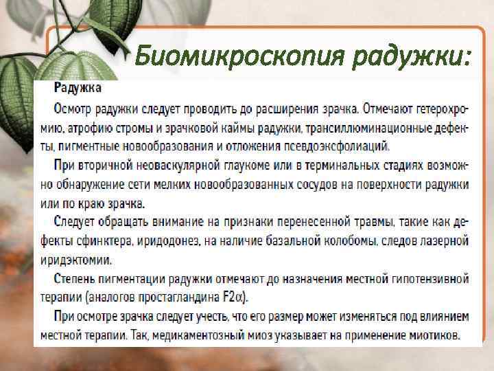 Биомикроскопия радужки: 