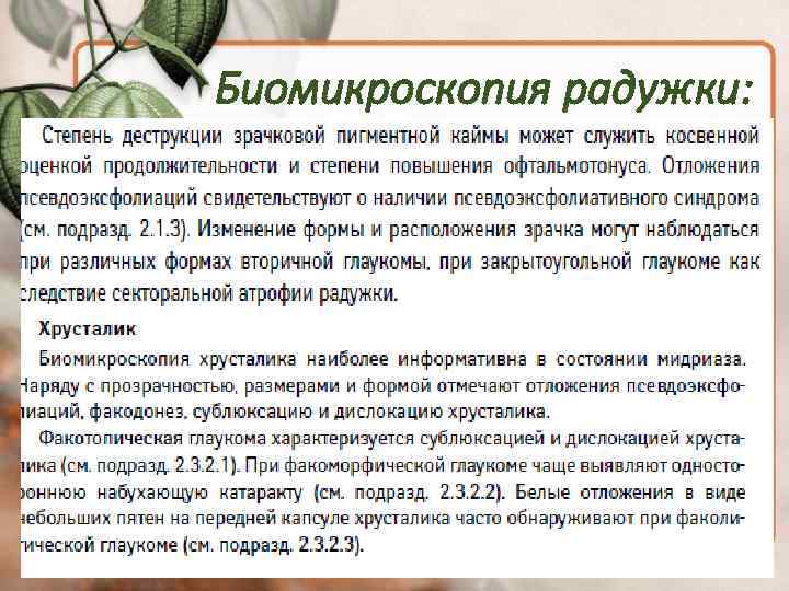 Биомикроскопия радужки: 