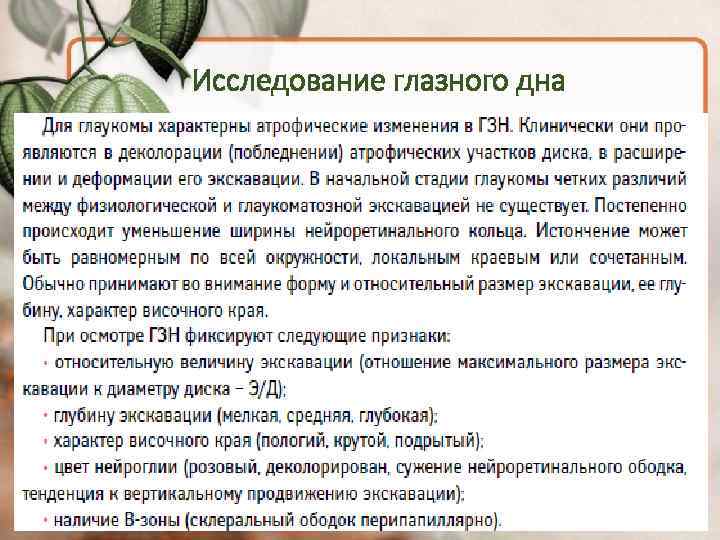 Исследование глазного дна 