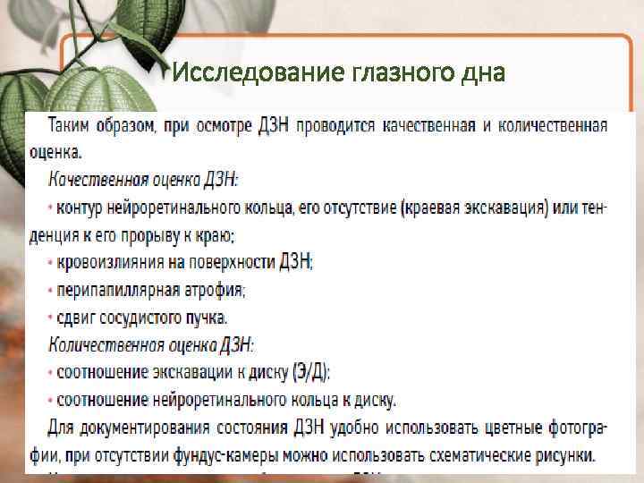 Исследование глазного дна 