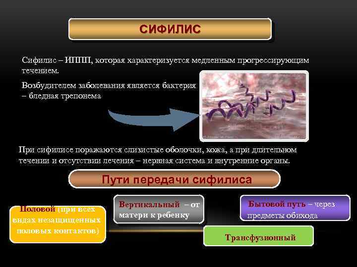 СИФИЛИС Сифилис – ИППП, которая характеризуется медленным прогрессирующим течением. Возбудителем заболевания является бактерия –