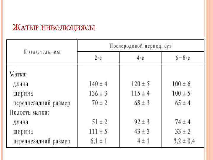 ЖАТЫР ИНВОЛЮЦИЯСЫ 