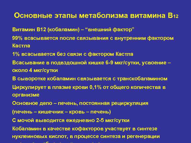 Основные этапы метаболизма витамина B 12 Витамин В 12 (кобаламин) – “внешний фактор” 99%