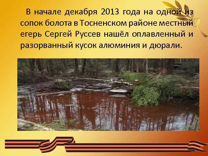 В начале декабря 2013 года на одной из сопок болота в Тосненском районе местный