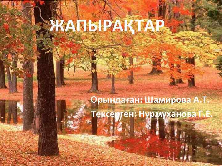 ЖАПЫРАҚТАР Орындаған: Шамирова А. Т. Тексерген: Нурмуханова Г. Е. 