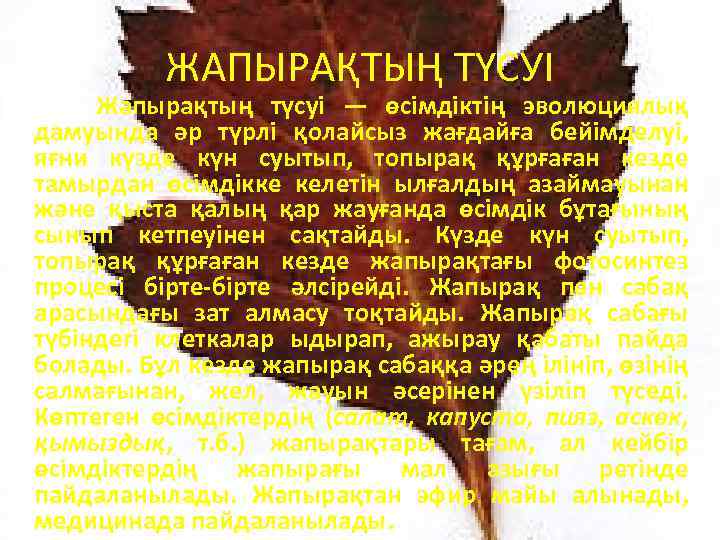 ЖАПЫРАҚТЫҢ ТҮСУІ Жапырақтың түсуі — өсімдіктің эволюциялық дамуында әр түрлі қолайсыз жағдайға бейімделуі, яғни