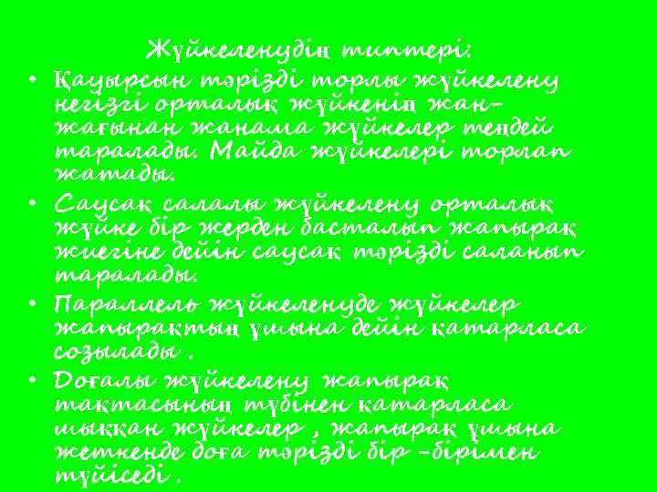  • • Жүйкеленудің типтері: Қауырсын тәрізді торлы жүйкелену негізгі орталық жүйкенің жанжағынан жанама