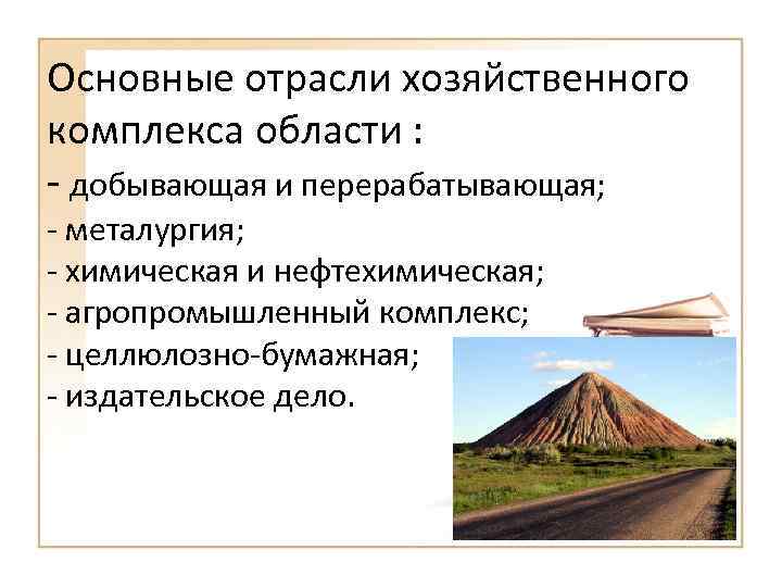 Основные отрасли хозяйственного комплекса области : - добывающая и перерабатывающая; - металургия; - химическая