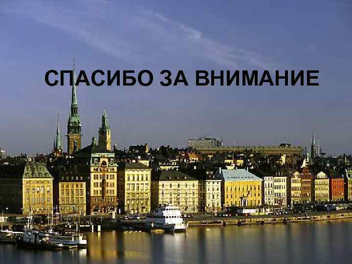 СПАСИБО ЗА ВНИМАНИЕ 