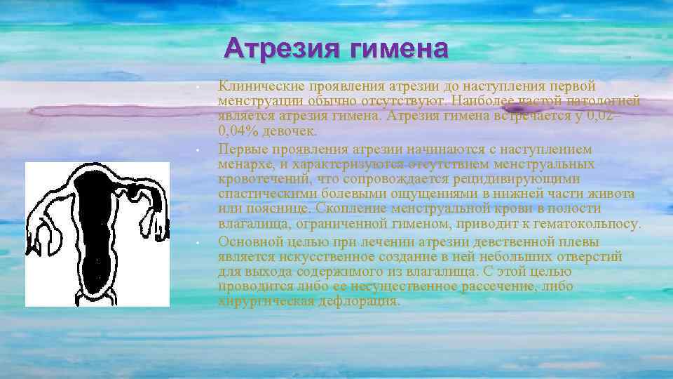 Атрезия гимена • • • Клинические проявления атрезии до наступления первой менструации обычно отсутствуют.