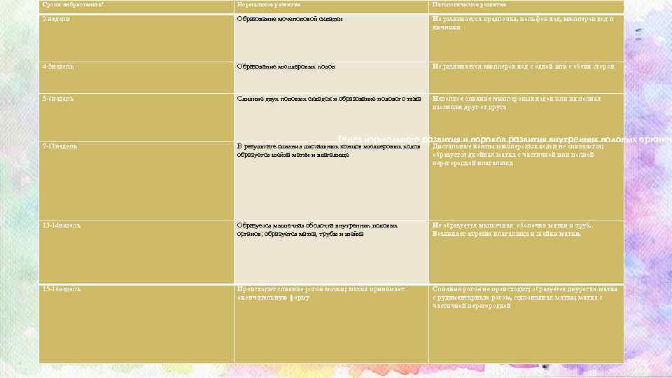 Сроки эмбриогенеза* Нормальное развитие Патологическое развитие 2 недели Образование мочеполовой складки Не развивается предпочка,