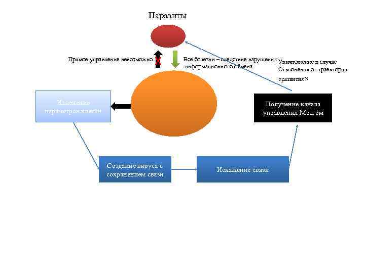 Паразиты Прямое управление невозможно x Все болезни – следствие нарушения Уничтожение в случае информационного