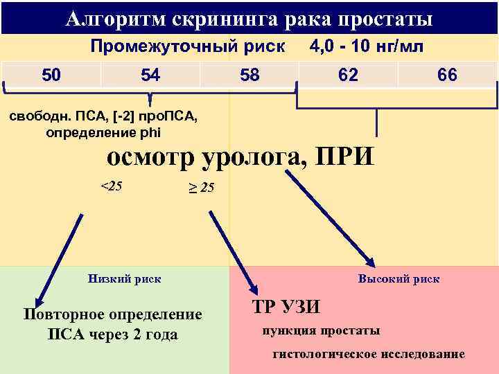 Алгоритм скрининга рака простаты Промежуточный риск 4, 0 - 10 нг/мл 50 54 58