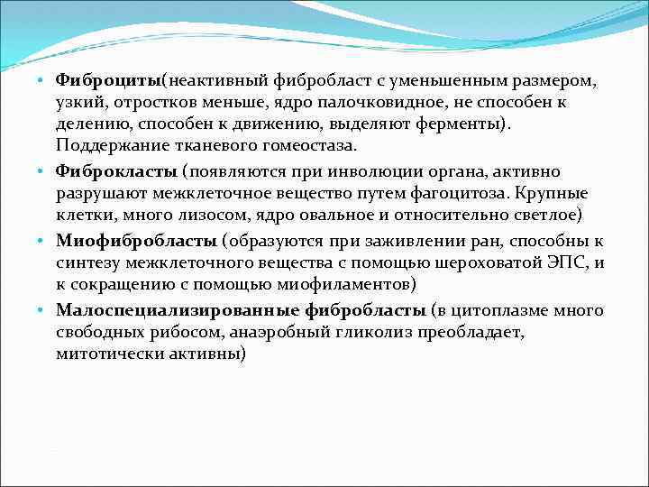  • Фиброциты(неактивный фибробласт с уменьшенным размером, узкий, отростков меньше, ядро палочковидное, не способен