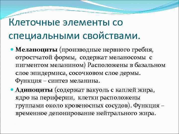 Клеточные элементы со специальными свойствами. Меланоциты (производные нервного гребня, отростчатой формы, содержат меланосомы с