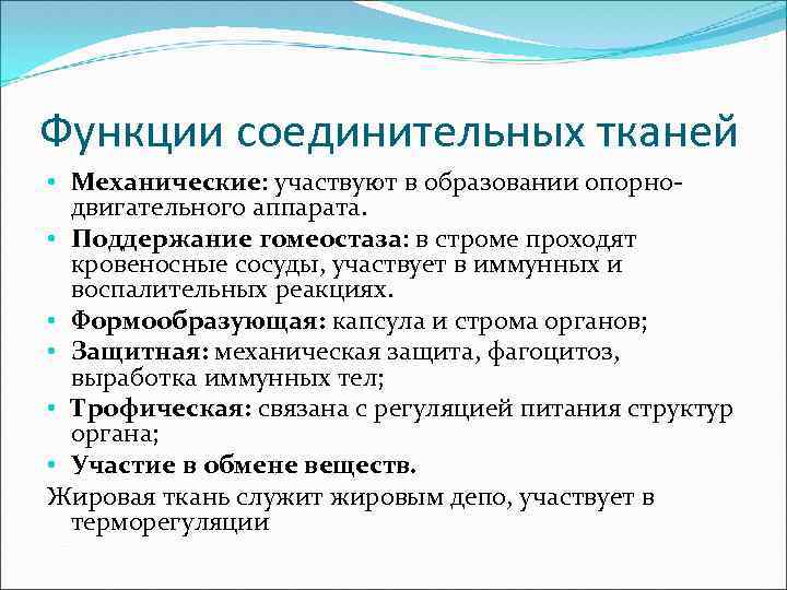 Соединительная функция