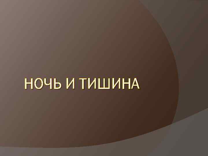 НОЧЬ И ТИШИНА 