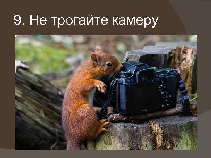 9. Не трогайте камеру 