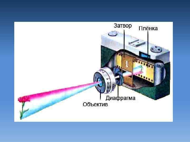 Как работает камера. Схема работы пленочного фотоаппарата. Строение пленочного фотоаппарата. Принцип действия пленочного фотоаппарата. Конструкция пленочного фотоаппарата.